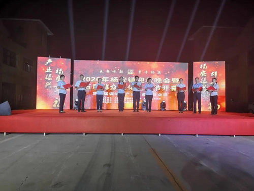 太熱鬧啦！2020楊安鎮(zhèn)迎秋晚會(huì)暨第五屆群眾文化藝術(shù)節(jié)盛大開幕
