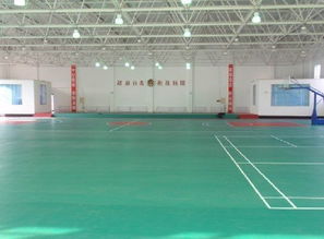 天津運(yùn)動(dòng)地板、廊坊PVC地板、唐山塑膠地板與滄州球場(chǎng)地板廠家圖片展示